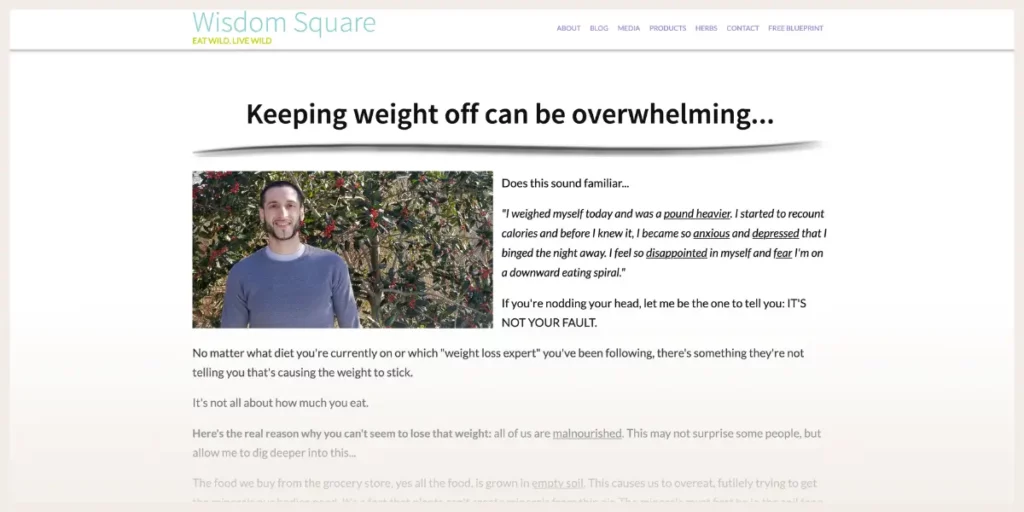 Screenshot of Wisdom Square website 