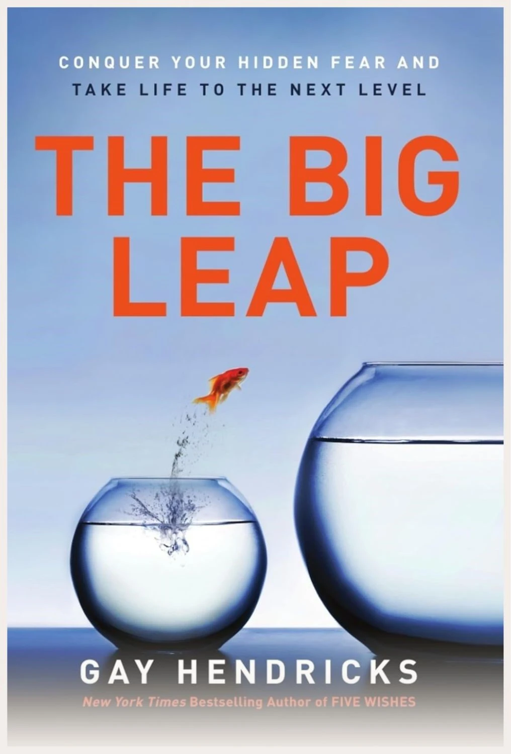 Screenshot of the Big Leap book cover