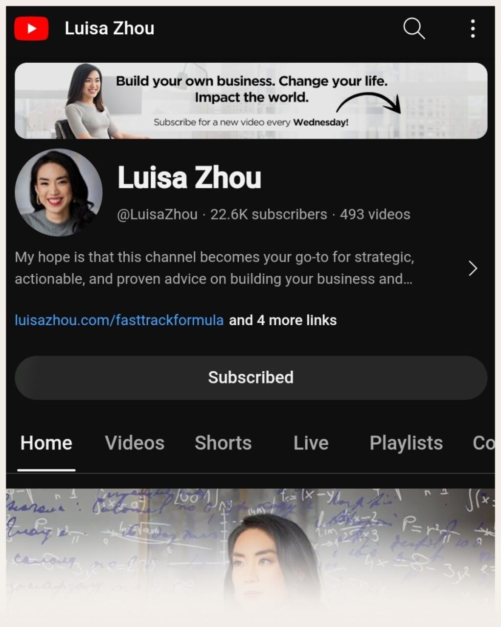 Screenshot of Luisa Zhou’s YouTube channel